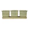 Ceramic Mini Planter Set - Green Square